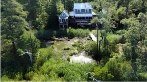 Elevated Cabin in the Trees Perfect for a Weekend Getaway in the Outer Banks, North Carolina