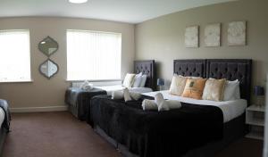 Syster Properties Leicester LE3 Comfy Casa Stay with Free Parking in Quiet Area