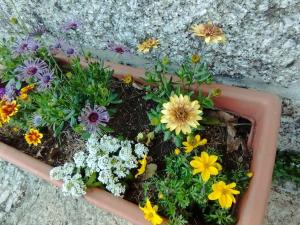 3HOUSE Sol na Eira em Paredes