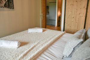 Les Chalets de LAiguille C003
