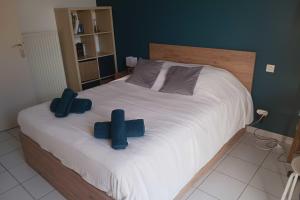 Apartment in Montpellier quiet and convenient