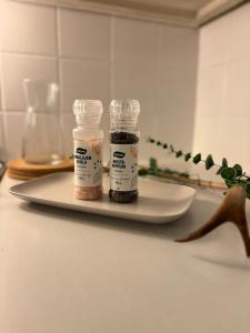 Arctic Aurora Apartment