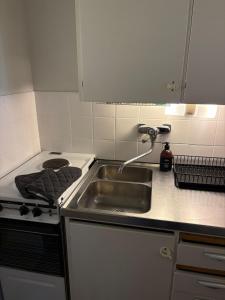 Arctic Aurora Apartment