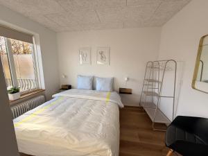 Cozy, totally renovated apartment, sleeps 6