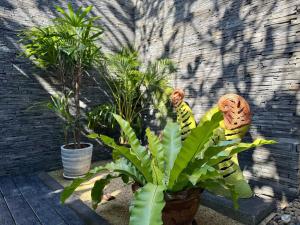 Luxury Pool Villa Resort Style Near Laguna Area