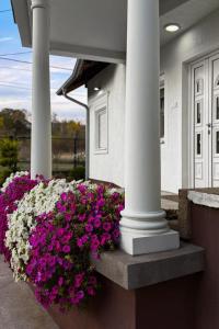 Royal Vila Negotin - Private Parking, Garden and Terrace