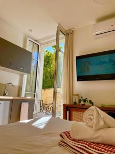 Under the Citrus Trees