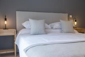 Bignonia Modern Studio