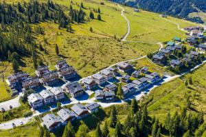 Steinbock Silberleiten