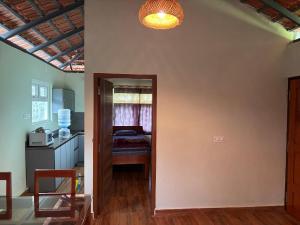 Estate stay near Dubare elephant camp, friendly for remote workers