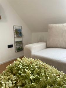 All Homes Apartments