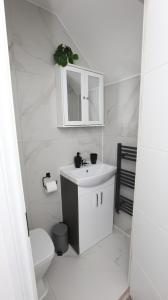 Modern 3 bed house in Edmonton with private driveway parking