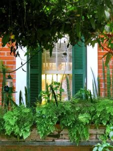 Refúgio Pasárgada Guest House