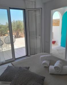 Sunsets and Olive Trees