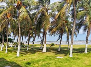 Rio Mar Suites Tucacas