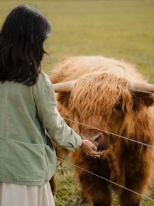 8 Paddocks Chalet Four