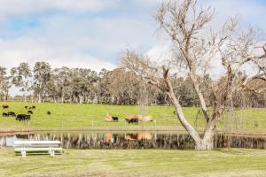8 Paddocks Cottage, Cowaramup, Margaret River Region