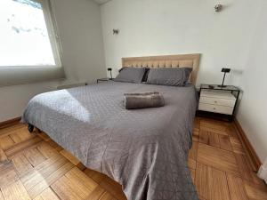 Bicentenario Park Apartment