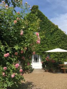 Appartement Landhaus am Deich Cluvenhagen Deutschland