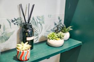 Jungle Studio - 2P à 4P -Henriville