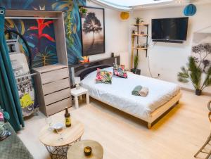 Jungle Studio - 2P à 4P -Henriville