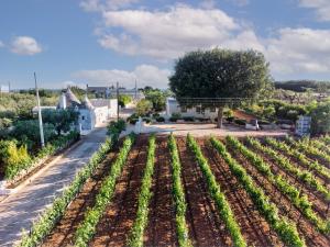 Le Dimore Crescenzio, Authentic Apulian Experience