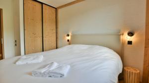 Les Chalets de LAiguille B202