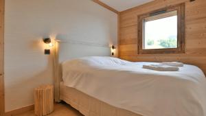 Les Chalets de LAiguille B202