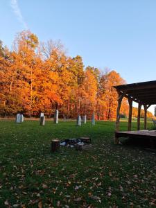 Maringotka Slaměnka u menhirového kruhu - U Slaměnky