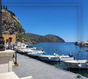 Marina Palace Apartments & Terrace