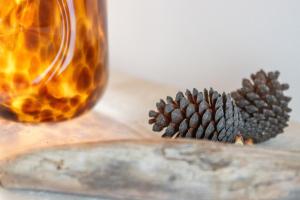 New! Birutės parko apartamentai