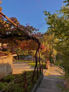 Small Hill Guesthouse