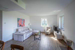 Panoramic Villa among the Vineyards of Frascati