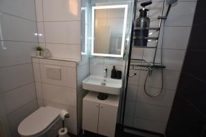 Studio apartment near center