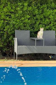 Villa Deluxe Au Pied de lAtlas Béni Mellal