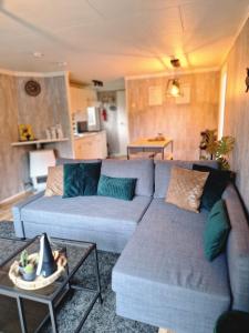 Veluwe Park Reewold-Chalet in Putten voor rust zoeker