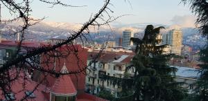 Your home in the heart of Batumi, sea in 8th minute