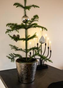 Snow White II with Sauna