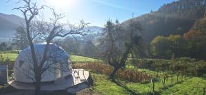 Domo en plena naturaleza