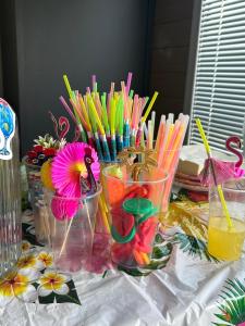 Splav na Savi - House on the river