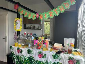 Splav na Savi - House on the river