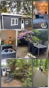 Veluwe Park Reewold-Chalet in Putten voor rust zoeker