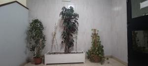 Loureiro Rooms
