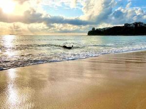 3 Moffat Beach Holiday House