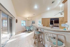 Salty Daze- The Vista