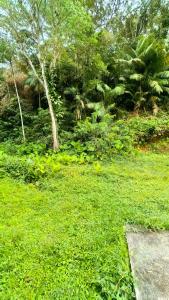 Casa na Praia da Caçandoca