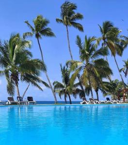 comfortable apartment