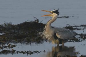 No 22 - Seaview Dream Retreatt