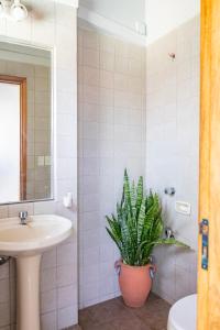 Rincón del Sol, country charm in the heart of the capital