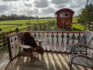 Shepherds hut "Het Schoehuijs"